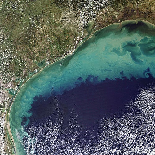 Sediment in the Gulf of Mexico - Jeff Schmaltz NASA Earth Observatory