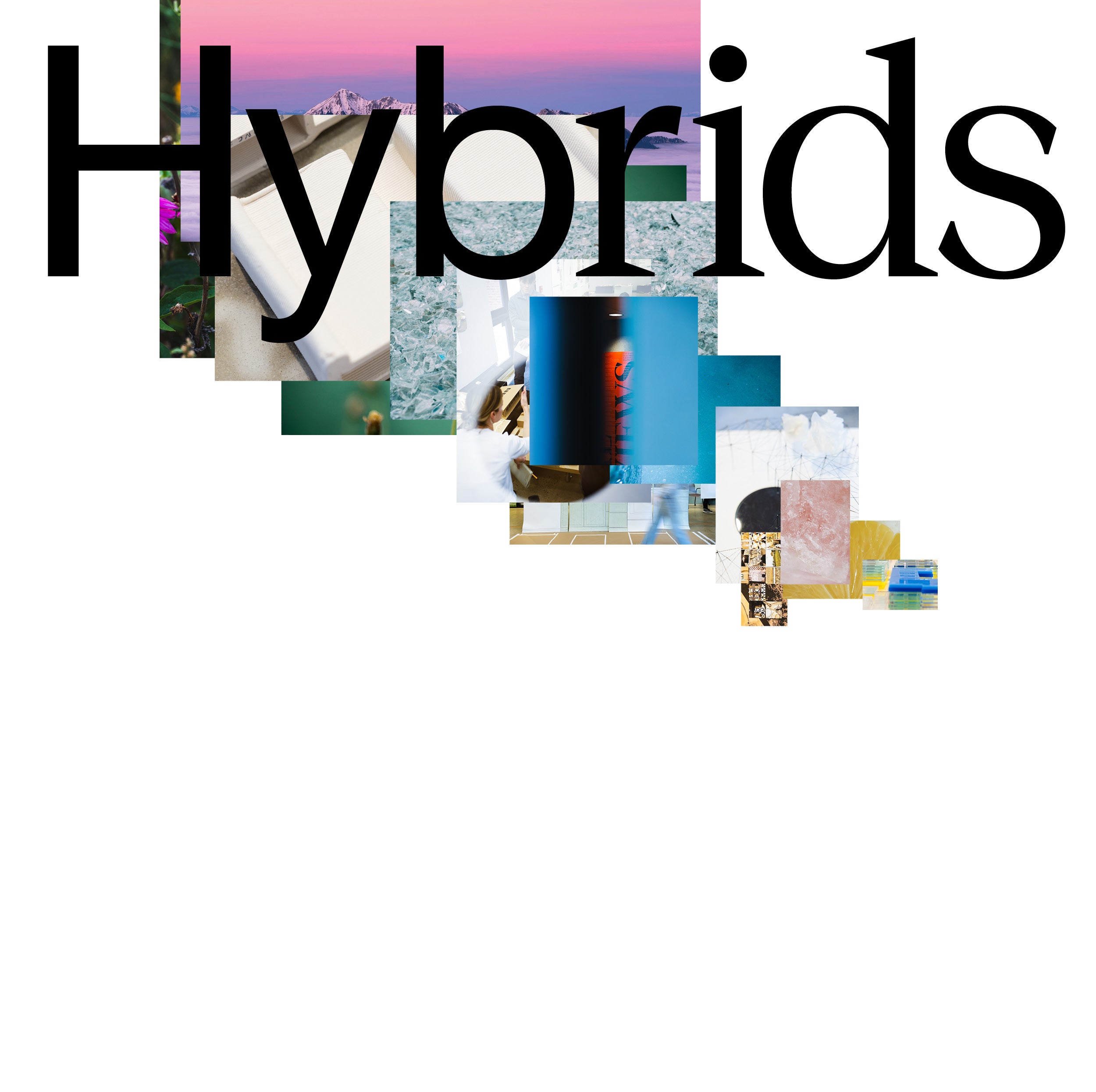 Hybrids Thumbnail 