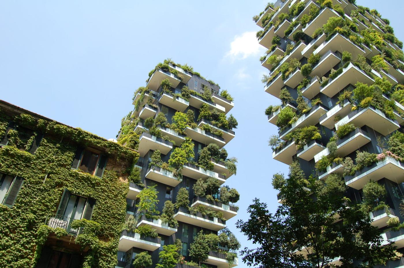 Biophilic Cities_Partner Cities_1