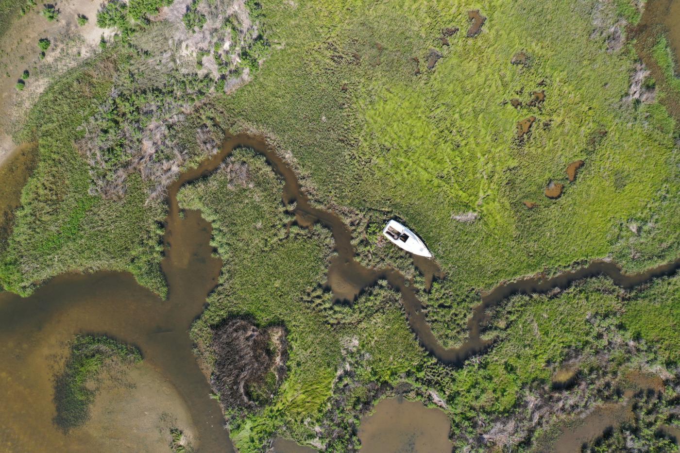 Preserving Coastal Parklands Davis