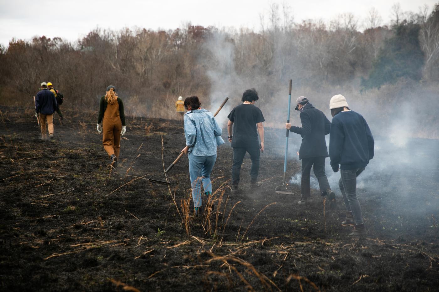 Milton LandLab Controlled Burn_TDaly