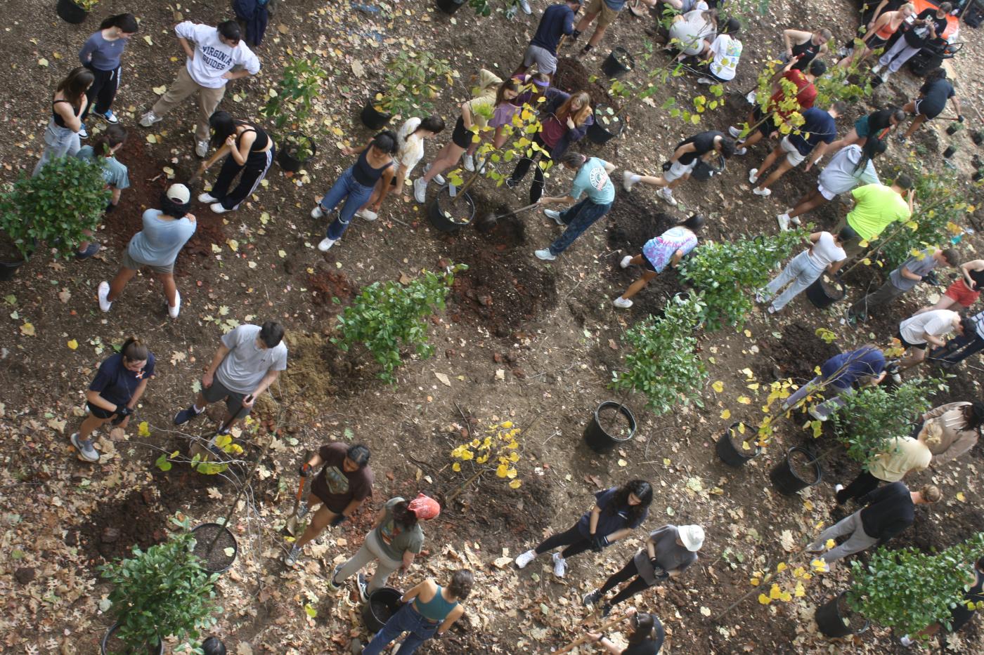 UVA Planting Day