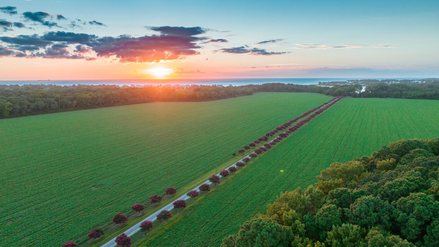 Cape Charles Farmland