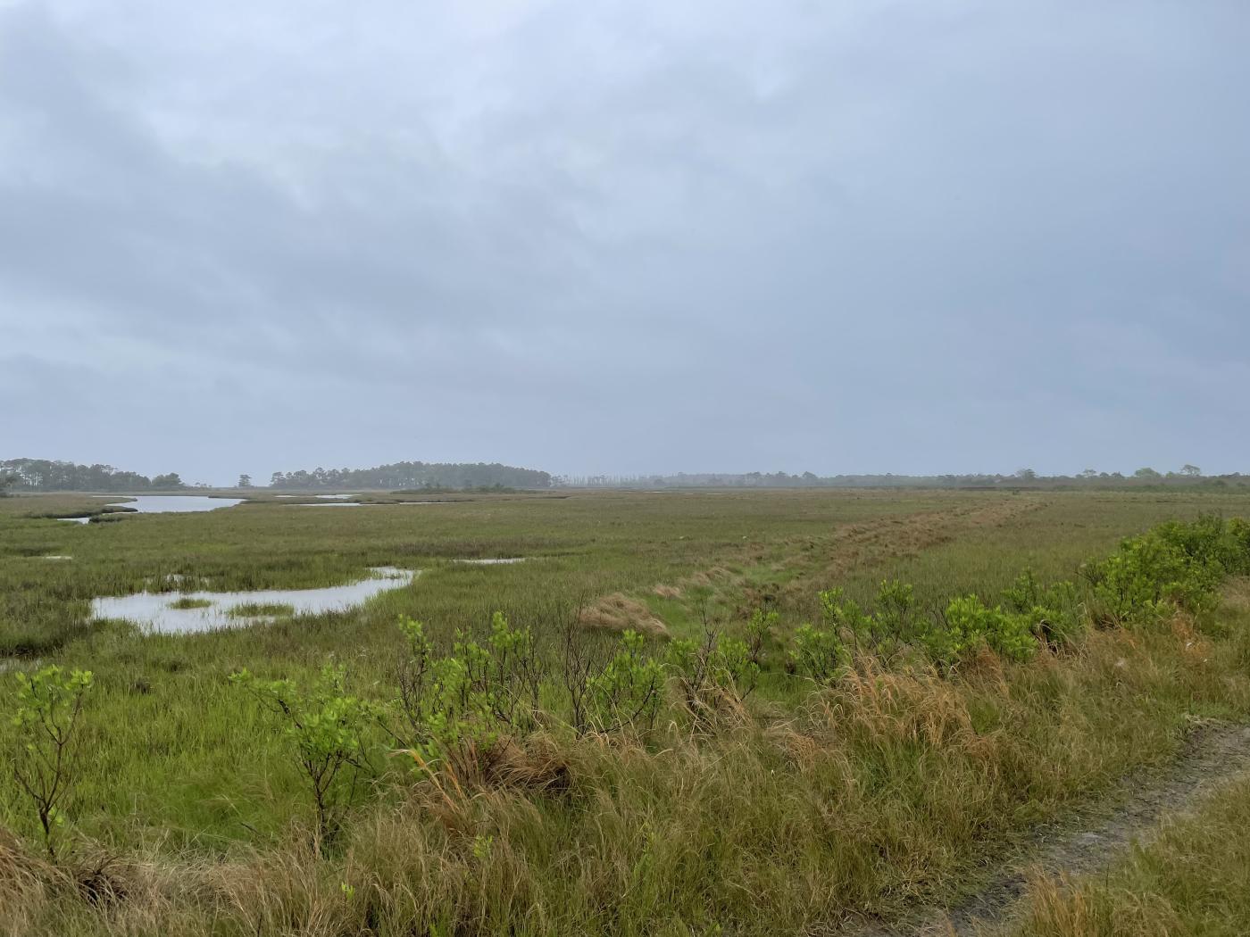 Bayside Assateague Island infill - Photo Sam Rosner