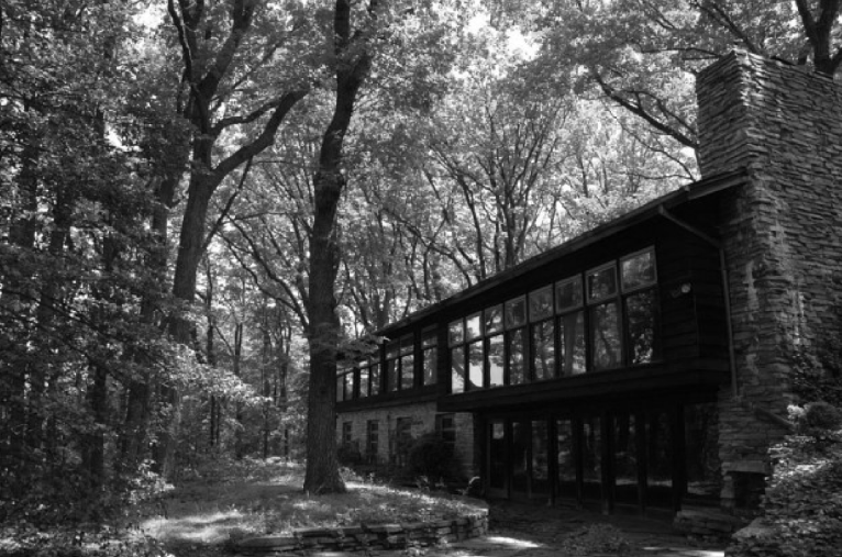 Beatley Canopy Cities Childhood Home