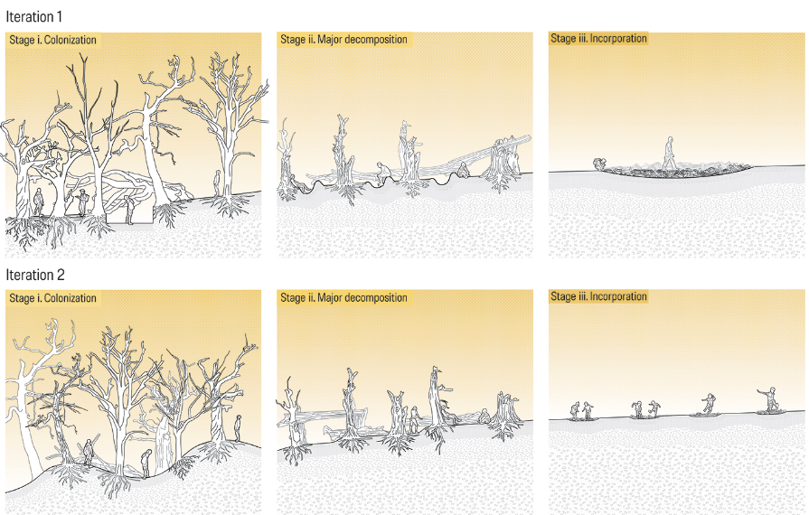 Joyce Fong Decomposition 1