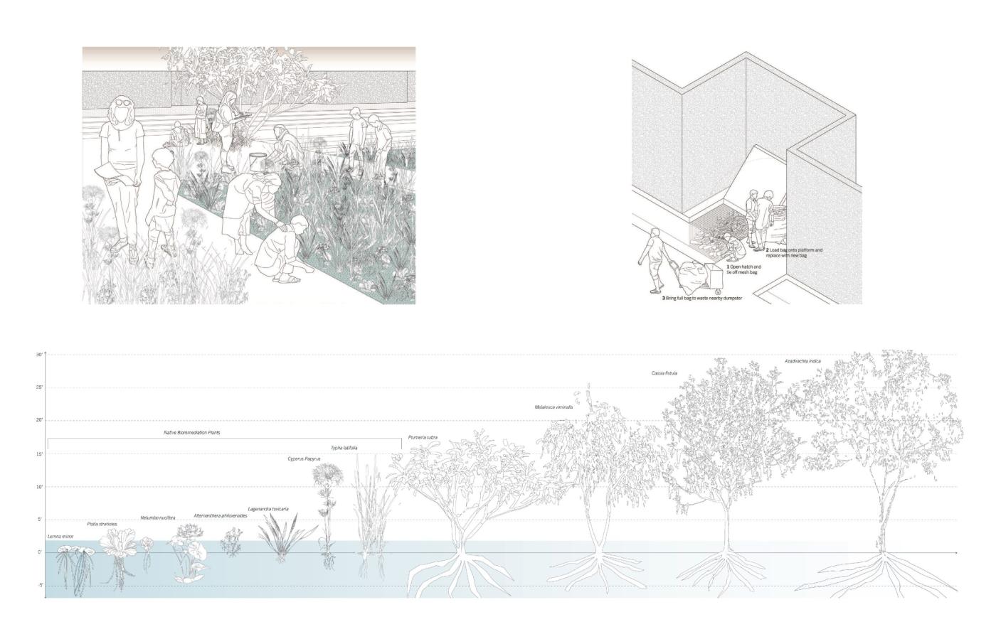 Yamuna River Project - Renderings of Plant Growth and People Outside