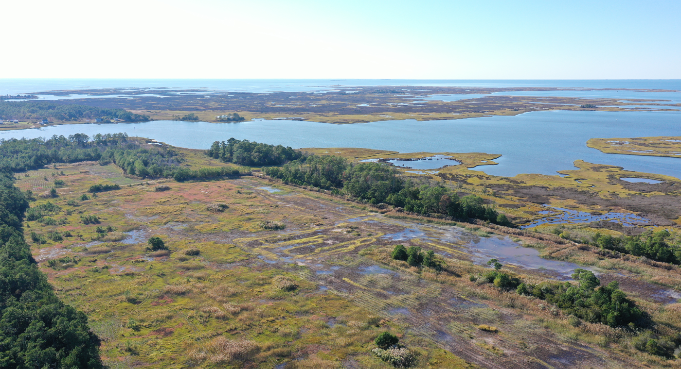 Doe Creek, Eastern Shore (Chesapeake Bay)