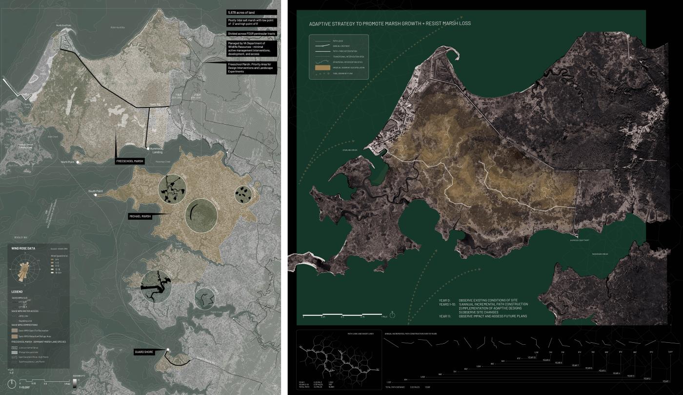 Emergent Marshland project detail